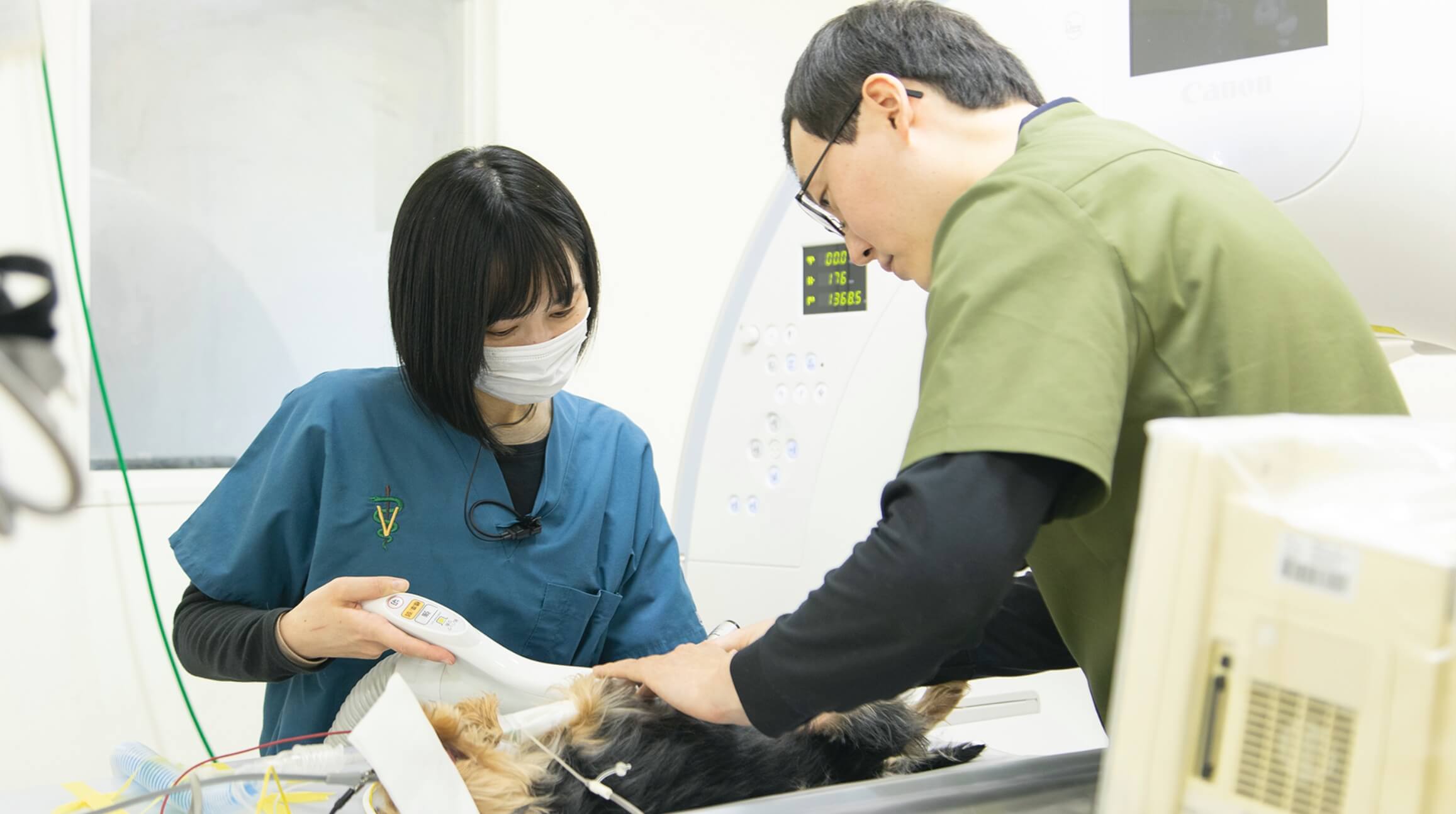 犬の診察中