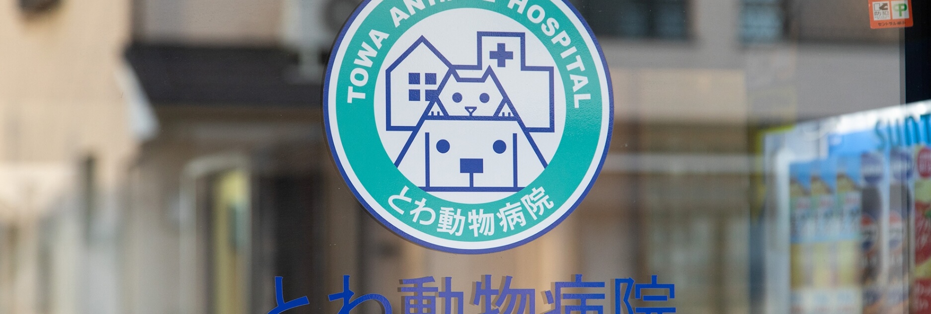猫の診察風景