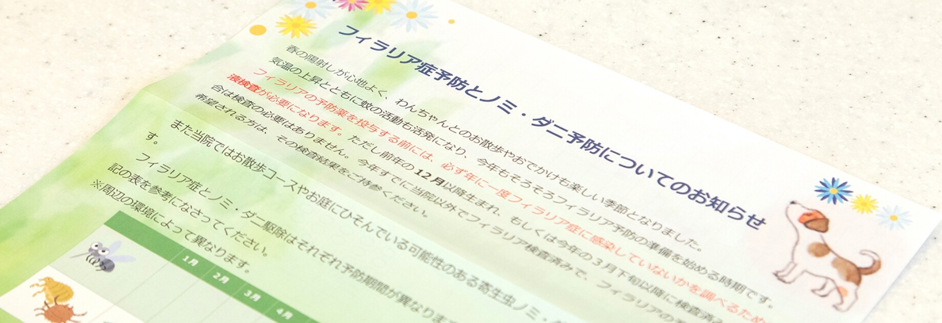 予防診療の案内
