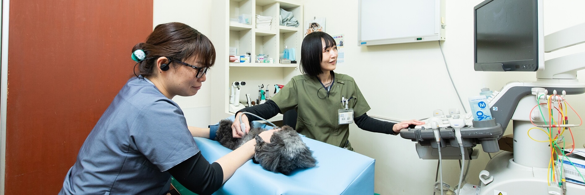犬がそっぽを向いている