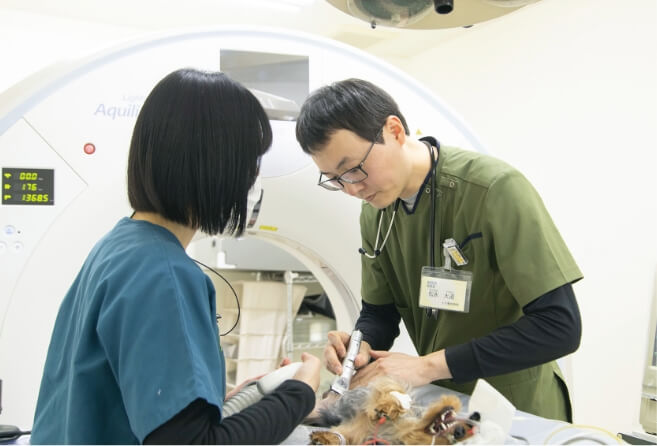 犬の診察の様子