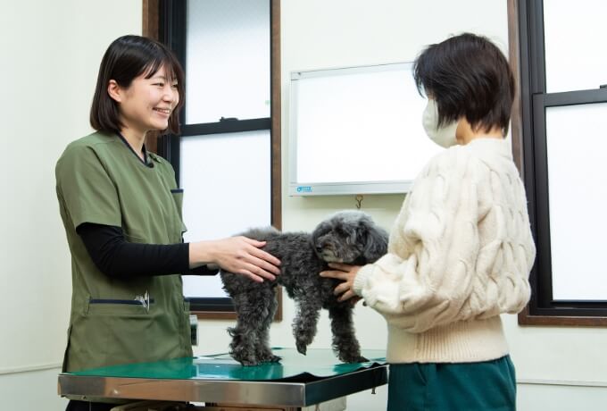 スタッフの仕事の様子