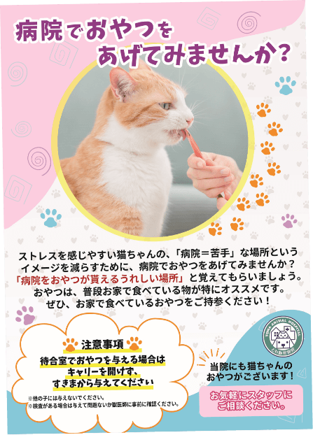 とわ動物病院ポスター